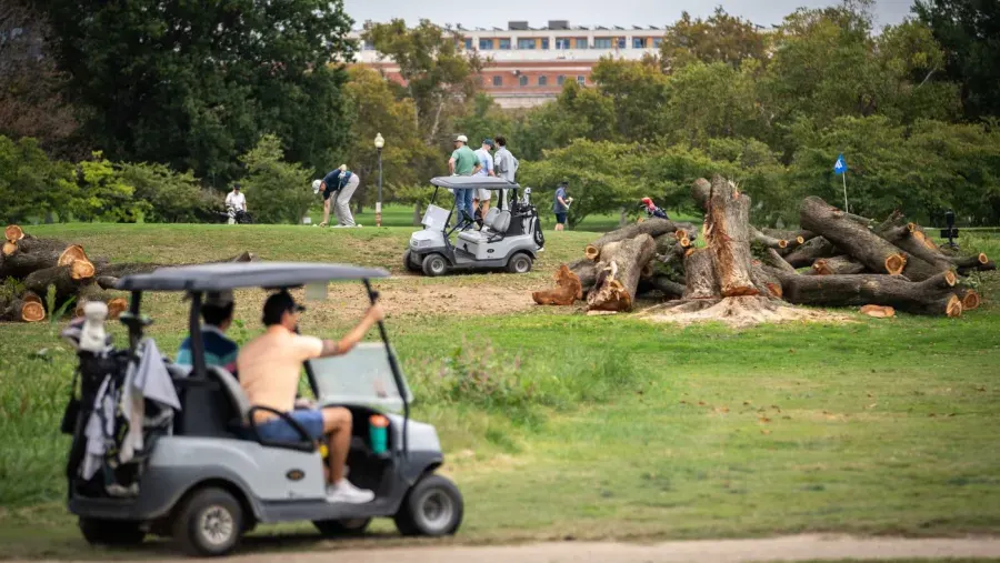 Golf carts on a golf course beside a pile of felled logs, with people golfing in the background.