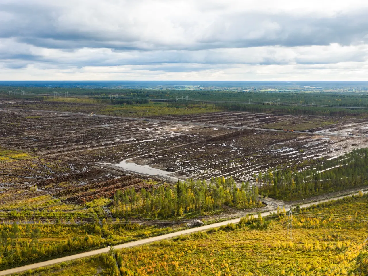 Aerial view of a cleared, waterlogged forest site with a gravel road and power lines.