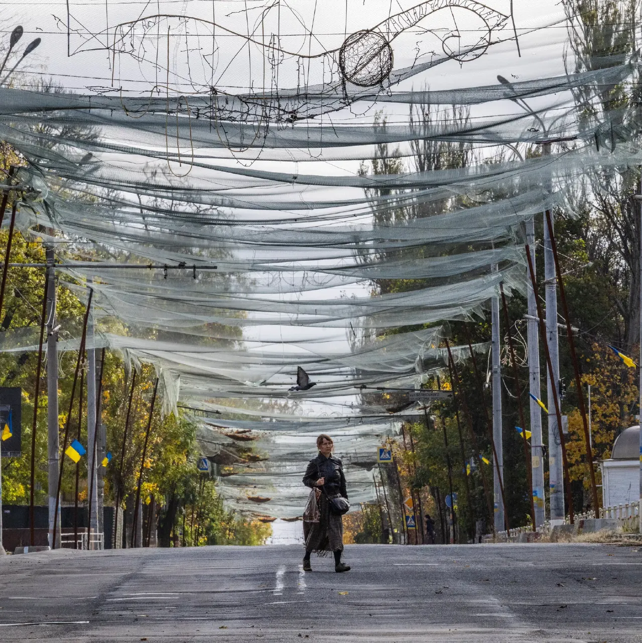 Woman walks down empty street under sagging netting, with blue-and-yellow Ukrainian flags lining the road.
