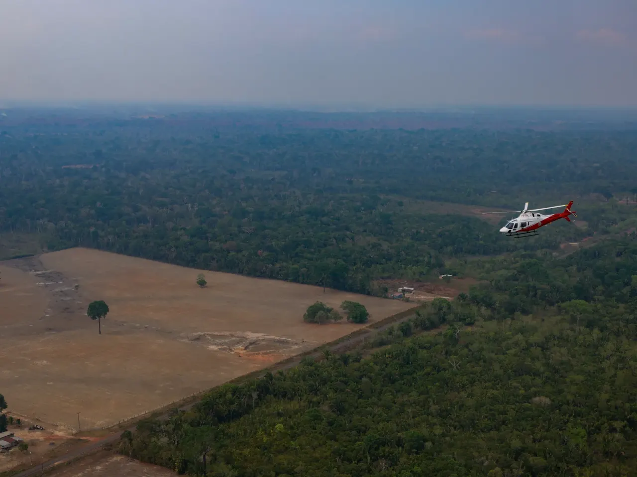 Aerial view of cleared land beside dense rainforest, with a red-and-white helicopter flying overhead.