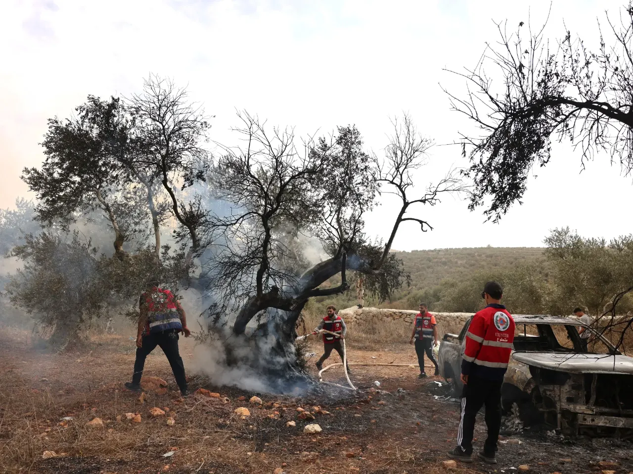 Red Crescent responders spray water on a smoldering olive tree beside a burned vehicle.