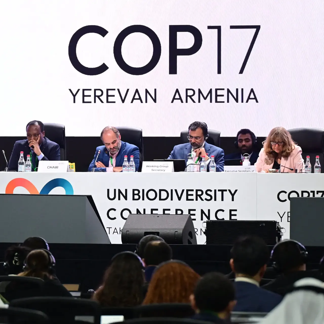 Officials seated at COP17 UN Biodiversity Conference panel below large COP17 Yerevan Armenia screen