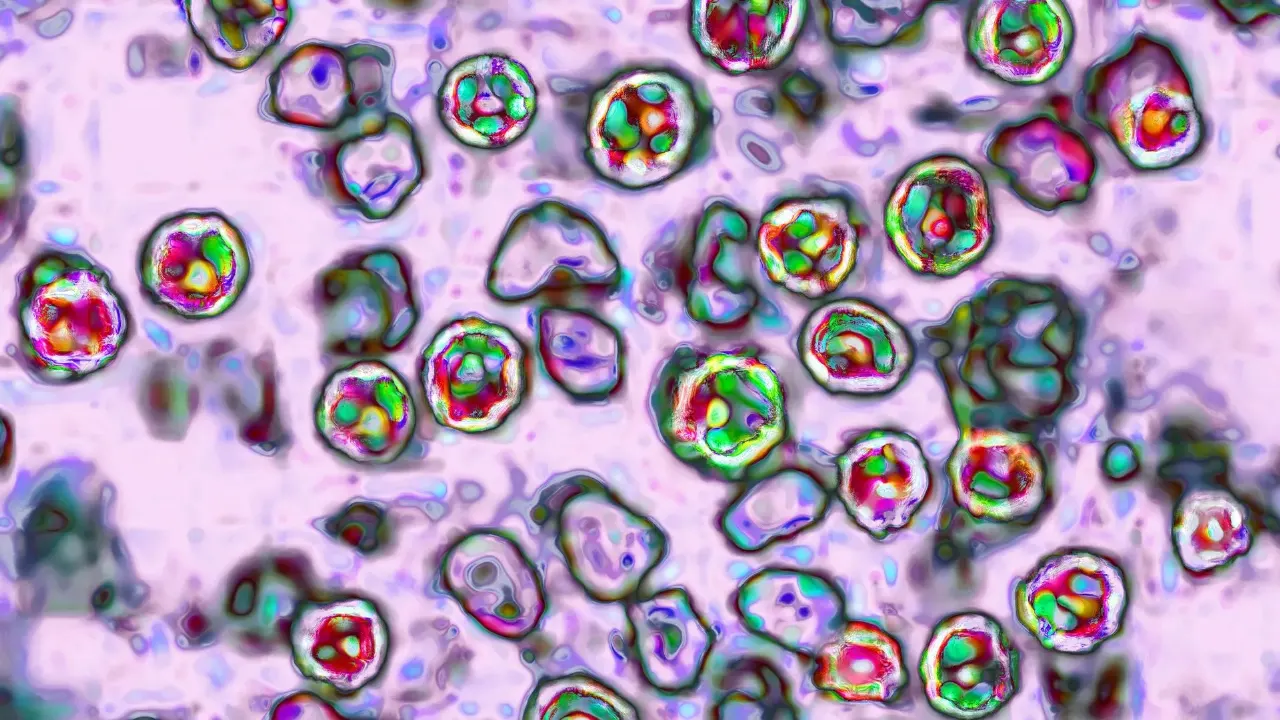 Colorful digital illustration of virus-like particles scattered across a pink background, suggesting microscopic pathogens.