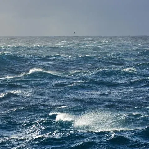 Choppy blue ocean waves with whitecaps under a grey overcast sky.