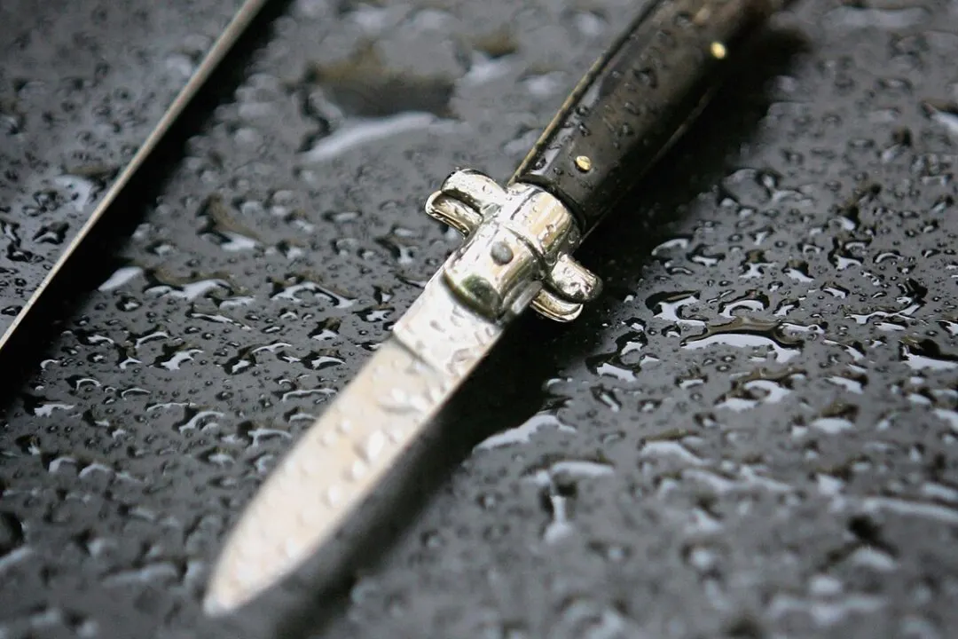 Close-up of a silver switchblade knife lying on a wet, dark surface.