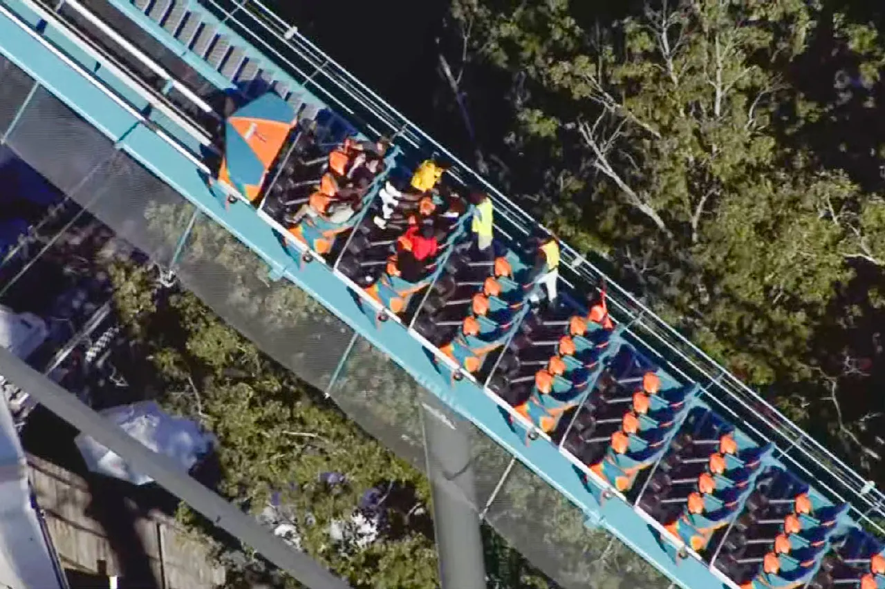 Aerial view of a stopped roller coaster train with riders on a teal track above trees.