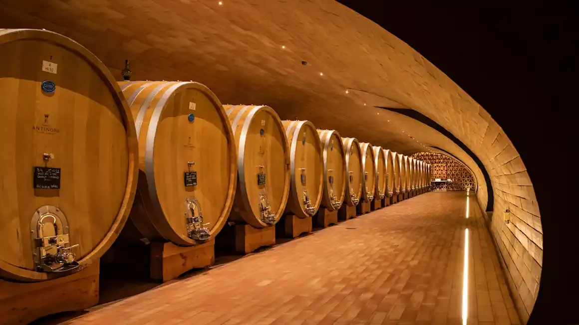 Long curved cellar lined with large oak wine barrels stamped Antinori, lit overhead.