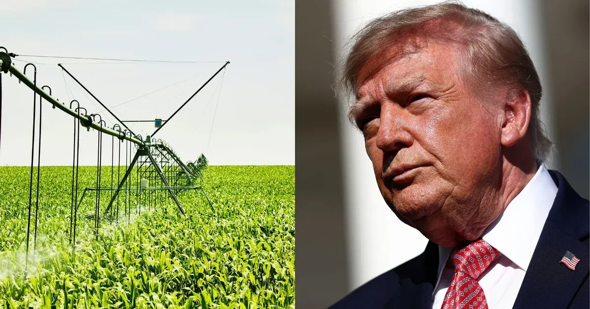 Split image: green irrigated cornfield with center pivot sprinkler, and close-up of older man in suit.