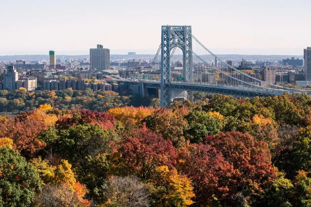 Autumn-foliaged trees in front of the George Washington Bridge and city skyline