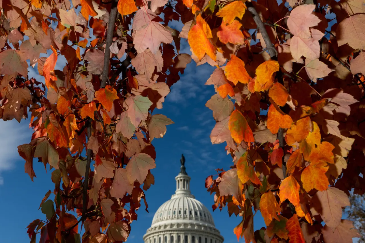 Capitol dome framed by autumn maple leaves against a blue sky